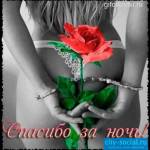 Хам