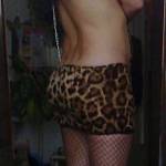dasha