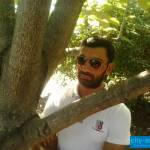 giorgi