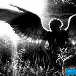 angel
