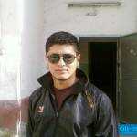SARDOR MS